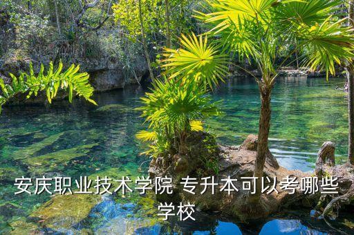 安慶職業(yè)技術(shù)學(xué)院 專(zhuān)升本可以考哪些學(xué)校