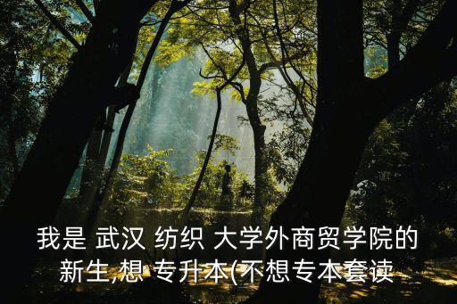 我是 武漢 紡織 大學外商貿學院的新生,想 專升本(不想專本套讀