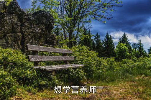 理想國(guó)際教育 專升本,香港理想教育國(guó)際投資集團(tuán)