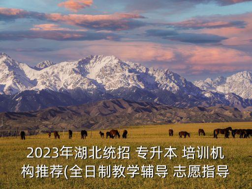 2023年湖北統(tǒng)招 專升本 培訓(xùn)機(jī)構(gòu)推薦(全日制教學(xué)輔導(dǎo) 志愿指導(dǎo)