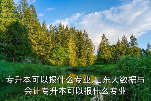 專升本可以報什么專業(yè),山東大數據與會計專升本可以報什么專業(yè)