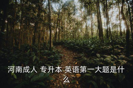 河南成人 專升本 英語(yǔ)第一大題是什么