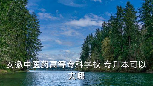 安徽中醫(yī)藥高等?？茖W(xué)校 專升本可以去哪