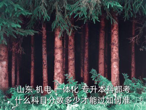  山東 機電 一體化 專升本科都考什么科目分數(shù)多少才能過如何準