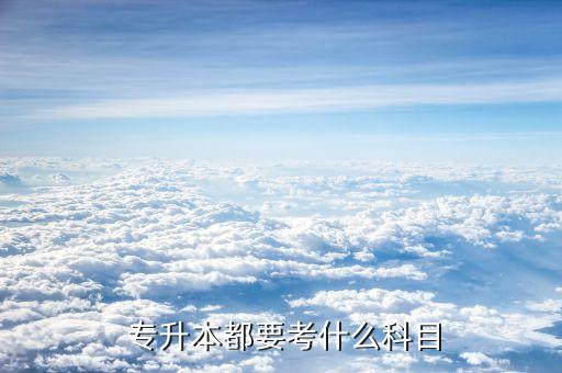 專升本必備教程,安徽專升本語文必備