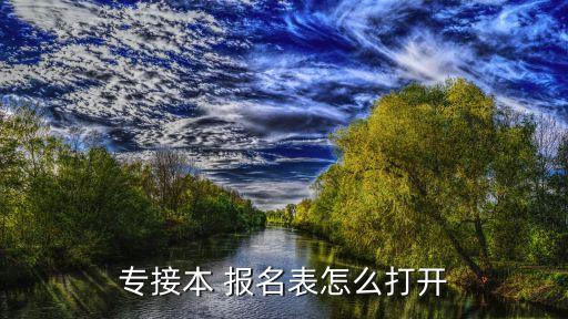 專升本報(bào)名表格式,河南專升本報(bào)名表