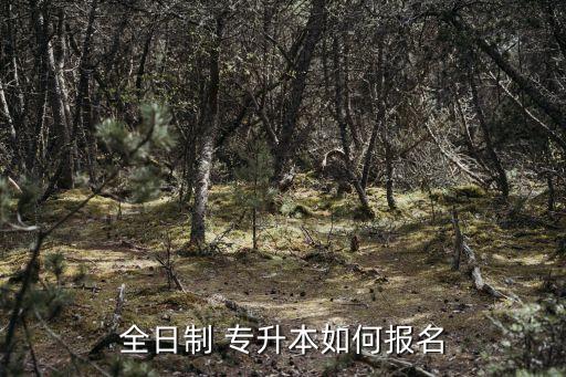 全日制 專升本如何報(bào)名
