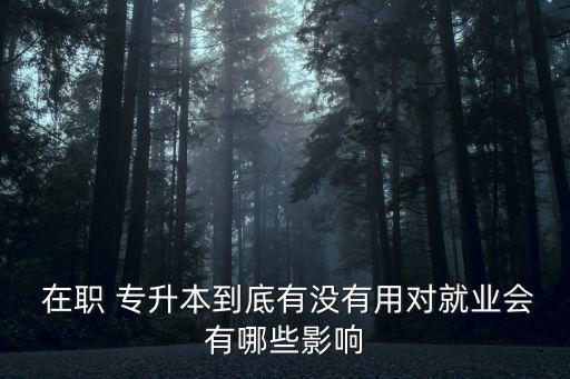  在職 專升本到底有沒有用對(duì)就業(yè)會(huì)有哪些影響
