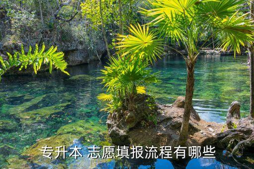  專(zhuān)升本 志愿填報(bào)流程有哪些