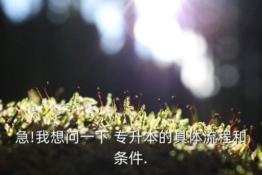急!我想問(wèn)一下 專升本的具體流程和條件.