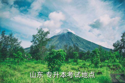 山東 專升本考試地點