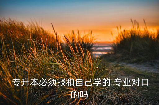  專升本必須報(bào)和自己學(xué)的 專業(yè)對口的嗎