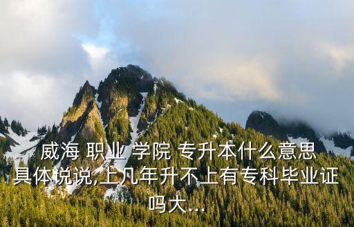  威海 職業(yè) 學(xué)院 專升本什么意思具體說說,上幾年升不上有專科畢業(yè)證嗎大...