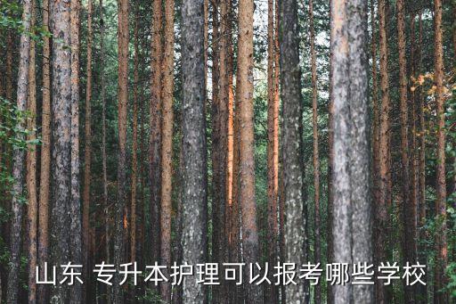  山東 專升本護(hù)理可以報考哪些學(xué)校