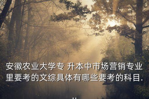 安徽農(nóng)業(yè)大學(xué)專 升本中市場(chǎng)營(yíng)銷專業(yè)里要考的文綜具體有哪些要考的科目...