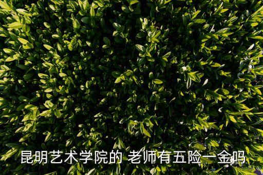  昆明藝術學院的 老師有五險一金嗎