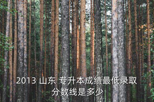 2013 山東 專升本成績最低錄取 分數(shù)線是多少