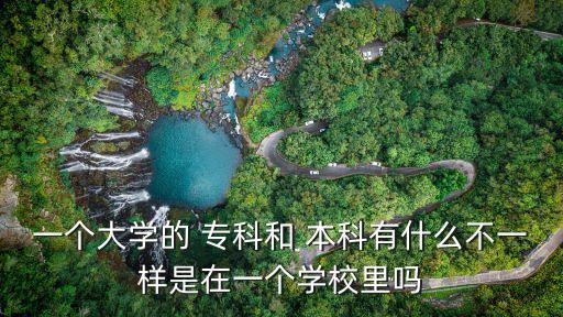 一個大學的 ?？坪?本科有什么不一樣是在一個學校里嗎