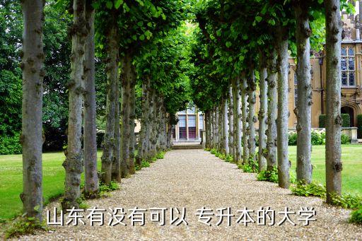 山東有沒(méi)有可以 專(zhuān)升本的大學(xué)