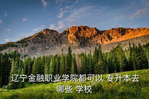  遼寧金融職業(yè)學院都可以 專升本去哪些 學校