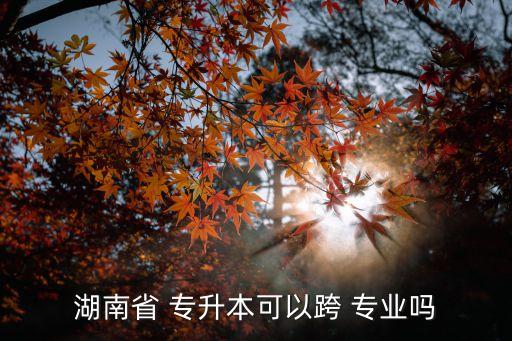 統(tǒng)招專升本跨專業(yè)經(jīng)驗
