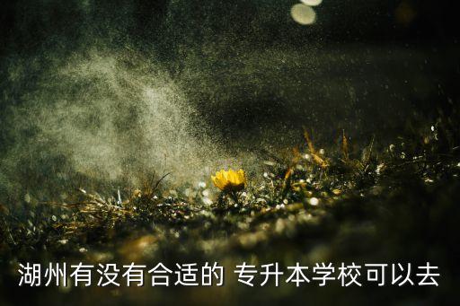 湖州有沒有合適的 專升本學?？梢匀? class=