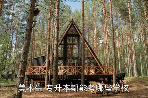 美術(shù)生 專升本都能考哪些學校