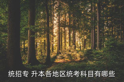 統招專 升本各地區(qū)統考科目有哪些