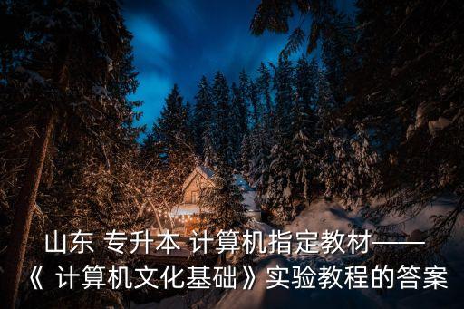 山東專升本計算機(jī)真題講解