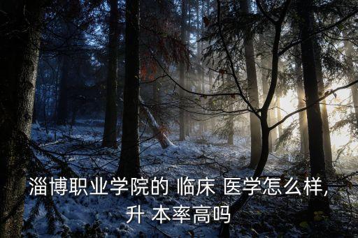 淄博職業(yè)學院的 臨床 醫(yī)學怎么樣,升 本率高嗎