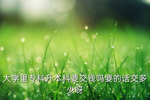大學里?？粕究埔诲X嗎要的話交多少呀