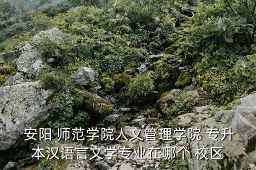  安陽 師范學(xué)院人文管理學(xué)院 專升本漢語言文學(xué)專業(yè)在哪個(gè) 校區(qū)