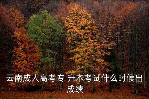 云南成人高考專 升本考試什么時候出 成績