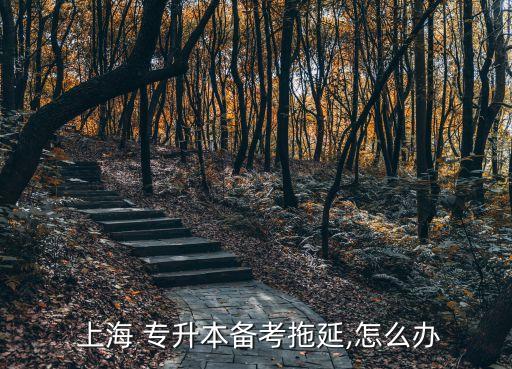  上海 專(zhuān)升本備考拖延,怎么辦