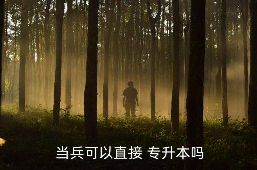  當(dāng)兵可以直接 專(zhuān)升本嗎