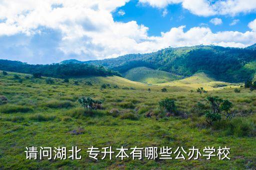 請(qǐng)問(wèn)湖北 專升本有哪些公辦學(xué)校