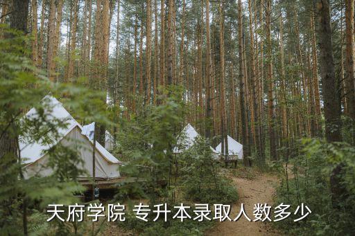  天府學(xué)院 專(zhuān)升本錄取人數(shù)多少