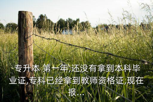  專升本 第一年,還沒有拿到本科畢業(yè)證,專科已經(jīng)拿到教師資格證,現(xiàn)在報(bào)...
