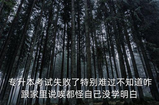  專升本考試失敗了特別難過(guò)不知道咋跟家里說(shuō)唉都怪自己沒(méi)學(xué)明白