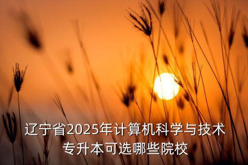  遼寧省2025年計(jì)算機(jī)科學(xué)與技術(shù) 專升本可選哪些院校