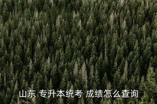 專升本查成績在哪查,山東專升本什么時候可以查成績
