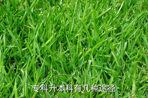 ?？粕究朴袔追N途徑
