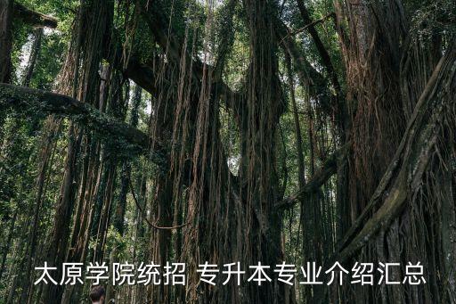  太原學(xué)院統(tǒng)招 專升本專業(yè)介紹匯總