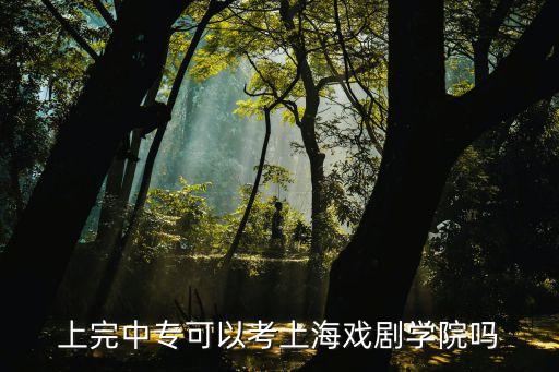 上完中?？梢钥忌虾騽W(xué)院嗎