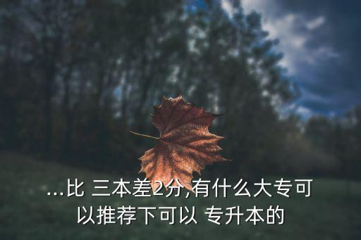 ...比 三本差2分,有什么大專可以推薦下可以 專升本的