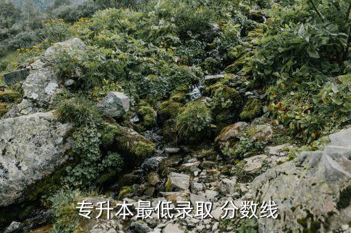 湖南統(tǒng)考專升本分數(shù)線2015,重慶統(tǒng)招專升本分數(shù)線
