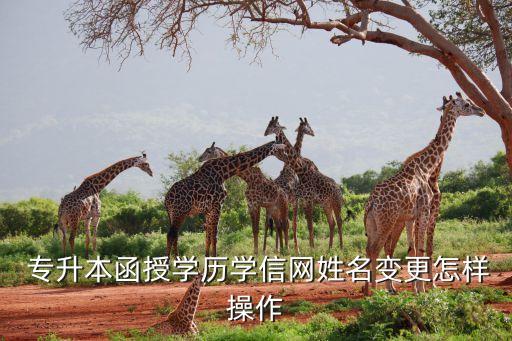  專升本函授學歷學信網(wǎng)姓名變更怎樣操作