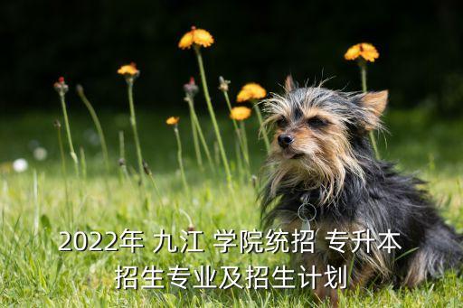2022年 九江 學(xué)院統(tǒng)招 專(zhuān)升本招生專(zhuān)業(yè)及招生計(jì)劃