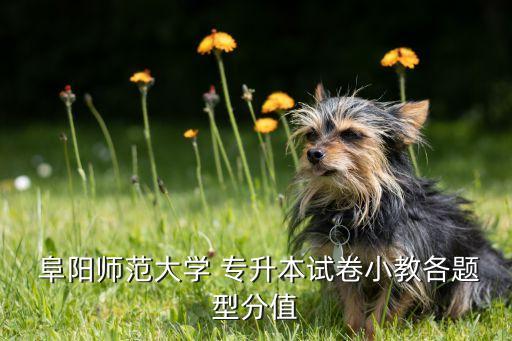 阜陽(yáng)師范學(xué)院專(zhuān)升本