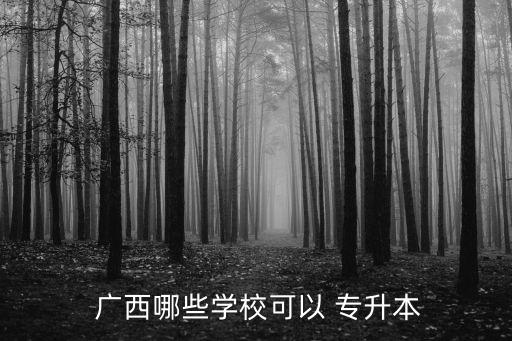  廣西哪些學(xué)?？梢?專升本